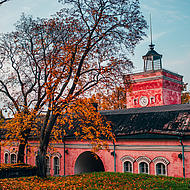 A pink building among the autumn leaves is visible.