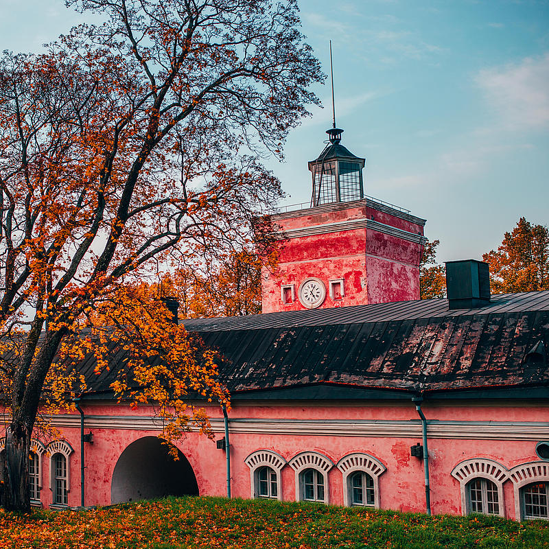 A pink building among the autumn leaves is visible.