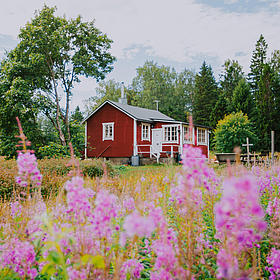 Summer cottages at Kaunissaari