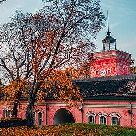 A pink building among the autumn leaves is visible.